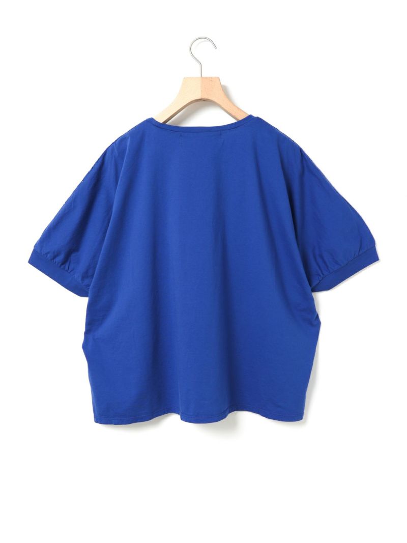 DB1 MIDIUMISOLID for Ladies オープンカラーレー MIDIUMISOLID ブラウス シャツ for Ladies オープンカラーレース