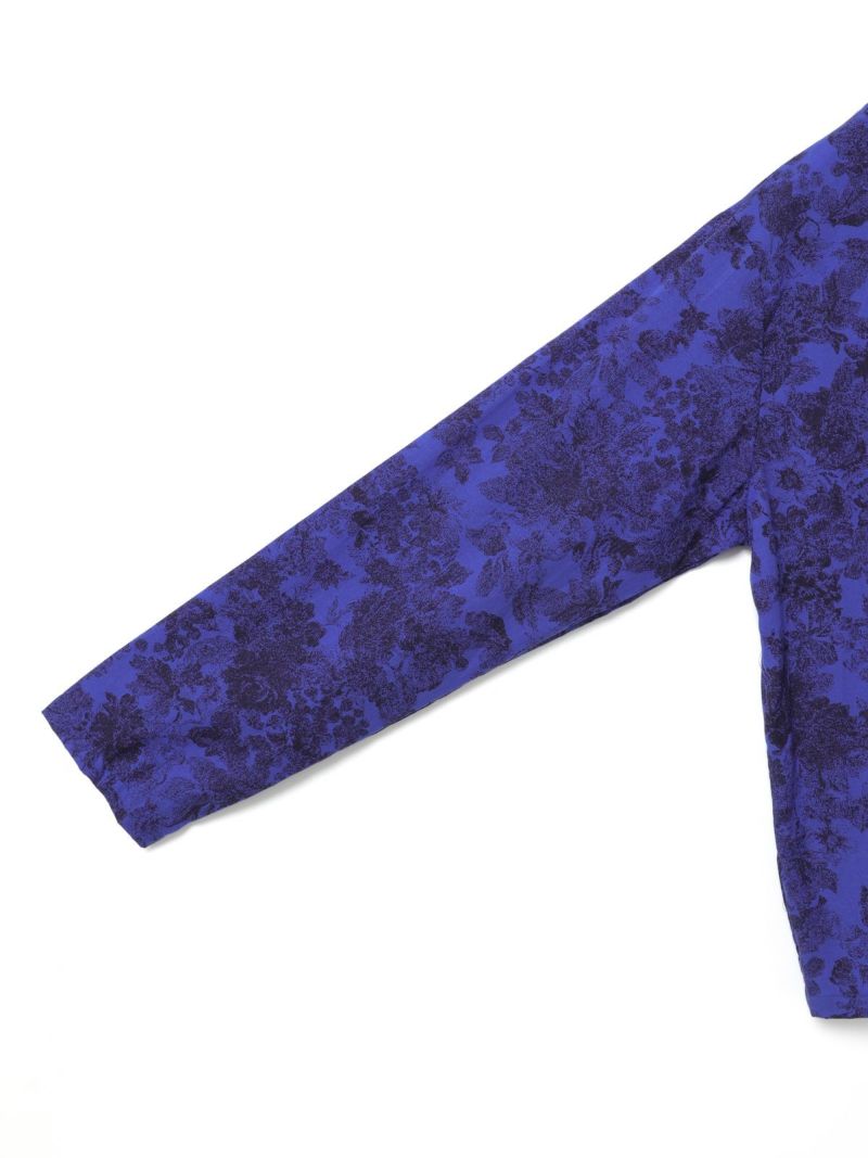 しろくろページ 2-アミノ-6-クロロプリン pharmaceutical secondary standard